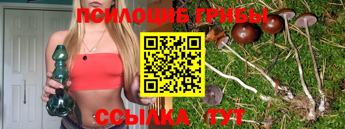 закладка  Вход с VPN  Северск  Псилоцибиновые грибы GOLDEN TEACHER 
