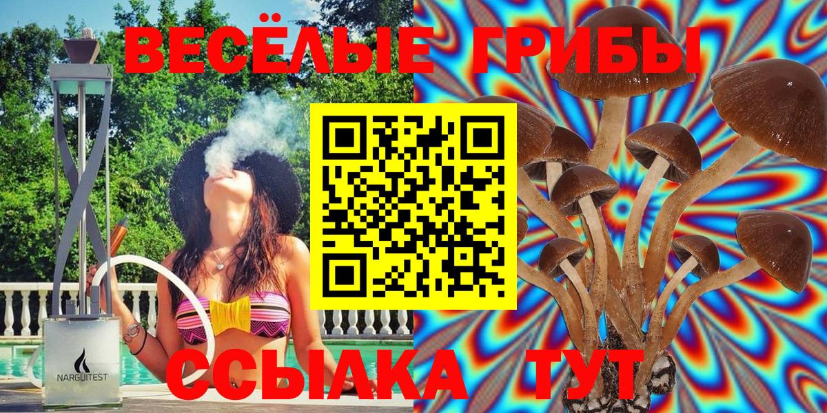 Псилоцибиновые грибы MAGIC MUSHROOMS Северск