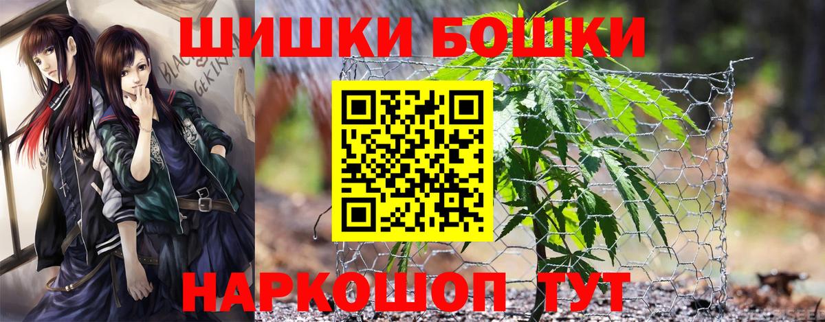 Каннабис план Северск